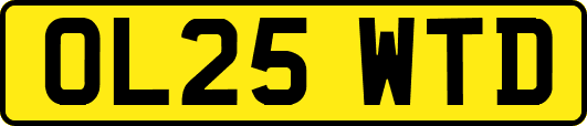 OL25WTD