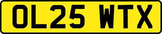 OL25WTX