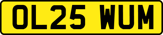 OL25WUM