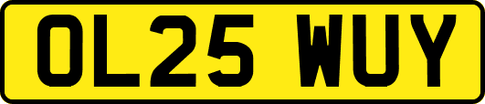 OL25WUY