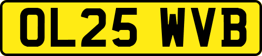 OL25WVB