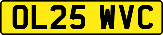 OL25WVC