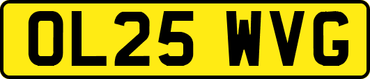 OL25WVG