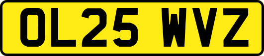 OL25WVZ