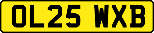 OL25WXB