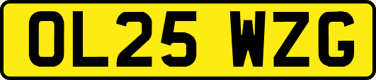 OL25WZG