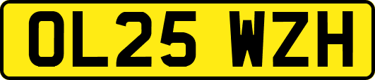 OL25WZH