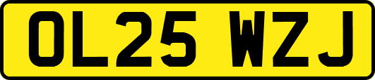 OL25WZJ