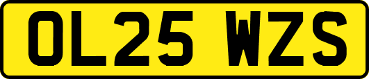 OL25WZS