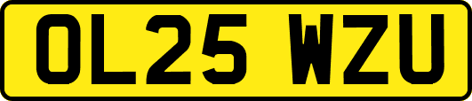 OL25WZU