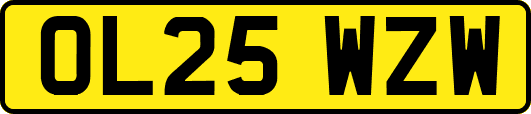 OL25WZW