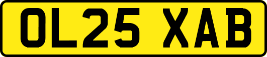 OL25XAB
