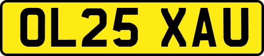 OL25XAU