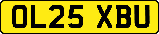OL25XBU