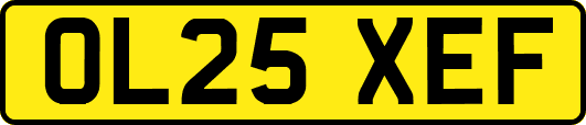 OL25XEF