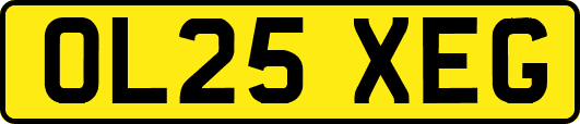 OL25XEG