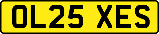 OL25XES