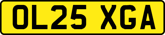OL25XGA