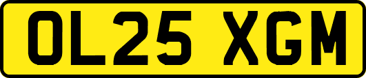 OL25XGM