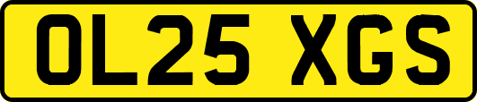 OL25XGS