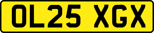 OL25XGX