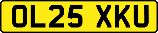 OL25XKU