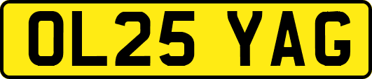 OL25YAG