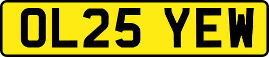 OL25YEW