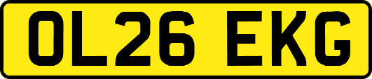 OL26EKG
