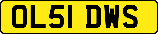 OL51DWS