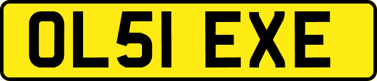 OL51EXE