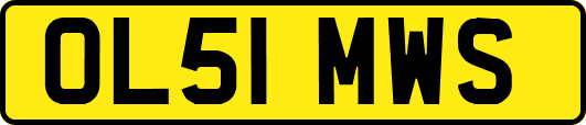 OL51MWS