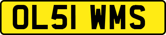 OL51WMS