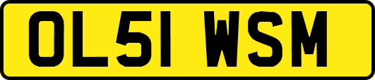 OL51WSM