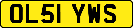 OL51YWS