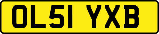 OL51YXB
