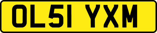 OL51YXM