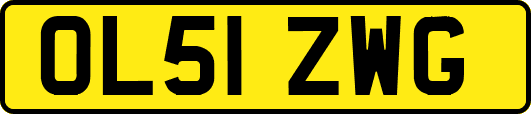 OL51ZWG