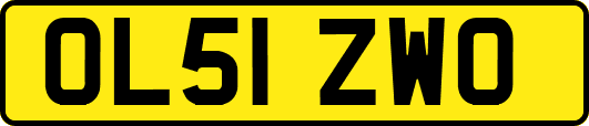 OL51ZWO