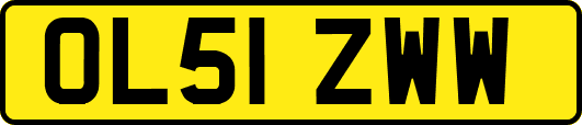 OL51ZWW