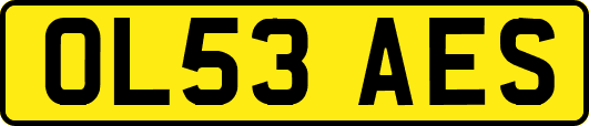 OL53AES