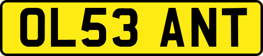 OL53ANT