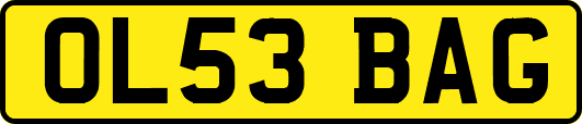 OL53BAG