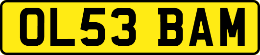 OL53BAM
