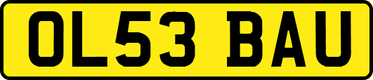 OL53BAU