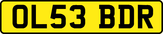 OL53BDR
