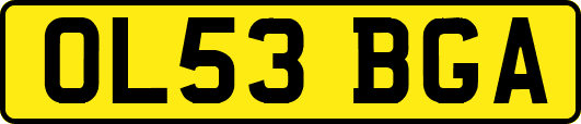 OL53BGA
