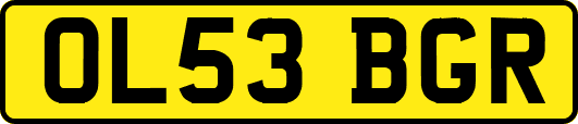 OL53BGR