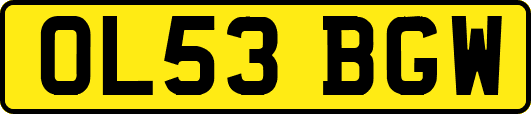 OL53BGW