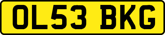 OL53BKG